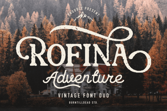 Discover Elegance with Rofina Font